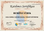 Psk. Dan. Remziye Yürek Psikolojik Danışman sertifikası