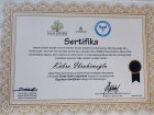 Psk. Dan. Kübra İbrahimoğlu Psikolojik Danışman sertifikası