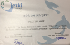 Psk. Meltem Aydoğan Psikoloji sertifikası