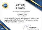 Psk. Dan. Gamze Çiçek Psikolojik Danışman sertifikası