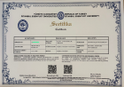 Uzm. Kl. Psk. İhsan Onur Kızılkan Psikoloji sertifikası