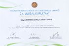 Prof. Dr. Furkan Erol Karabekmez Plastik Rekonstrüktif ve Estetik Cerrahi sertifikası