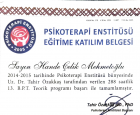 Psikoterapist Hande Çelik Mehmetoğlu Aile Danışmanı sertifikası
