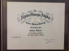 Uzm. Dr. Sinan Altıner Dahiliye - İç Hastalıkları sertifikası