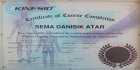 Fzt. Sema Danışık Fizyoterapi sertifikası