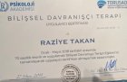 Psk. Beyza Takan Psikoloji sertifikası