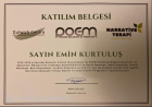 Dr. Psk. Dan. Emin Kurtuluş Psikolojik Danışman sertifikası