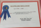 Prof. Dr. Birol Alver Psikolojik Danışman sertifikası