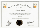Op. Dr. Özgün Akgül Genel Cerrahi sertifikası