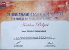 Dt. Turgut Burak Cerit Diş Hekimi sertifikası