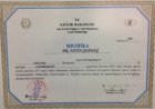 Prof. Dr. Fatih Şendağ Kadın Hastalıkları ve Doğum sertifikası