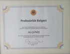 Prof. Dr. Ali Güneş Üroloji sertifikası