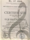 Psk. Elif Begüm Cavak Psikoloji sertifikası