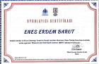 Psk. Enes Erdem Barut Psikoloji sertifikası