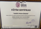 Psk. Pınar Kökdere Psikoloji sertifikası