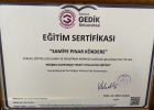 Psk. Pınar Kökdere Psikoloji sertifikası
