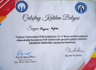 Psk. Ezginur Ayhan Psikoloji sertifikası