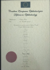 Op. Dr. Emine Temel Göz Hastalıkları sertifikası