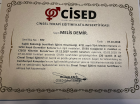 Psk. Melis Demir Psikoloji sertifikası