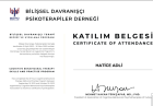 Psk. Hatice Adli Psikoloji sertifikası