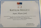 Uzm. Psk. Aleyna Çiçek Psikoloji sertifikası