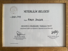 Çocuk Gelişim Uzmanı Rabia Dinçer Çocuk Gelişim Uzmanı sertifikası