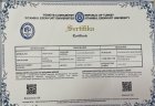 Uzman Aile Danışmanı Burcu Akmızrak Aile Danışmanı sertifikası