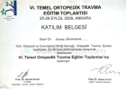 Prof. Dr. Engin Çetinkaya Ortopedi ve Travmatoloji sertifikası