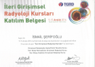 Prof. Dr. İsmail Şerifoğlu Girişimsel Radyoloji sertifikası