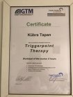 Fzt. Kübra Tapan Fizyoterapi sertifikası