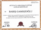 Klinik Psikolog  Barış Gamsızoğlu Psikoloji sertifikası