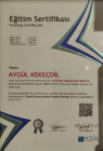 Dyt. Aygül Kekeçdil Diyetisyen sertifikası