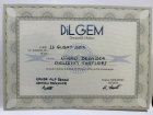 Klinik Psikolog  Nihan Dengizek Demir Psikoloji sertifikası