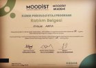 Psk. Aysun Arpa Psikoloji sertifikası