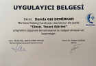 Psk. Damla Gül Demirkan Psikoloji sertifikası