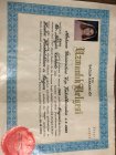 Op. Dr. Nilgün Cemil Kadın Hastalıkları ve Doğum sertifikası