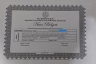Çocuk Gelişim Uzmanı Zeynep Yılmaz Çocuk Gelişim Uzmanı sertifikası