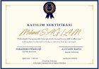 Psk. Dan. Mehmet Sağlam Psikolojik Danışman sertifikası
