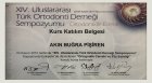 Dr. Dt. Akın Pişiren Diş Hekimi sertifikası