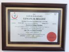 Prof. Dr. Erkan Tarhan Kulak Burun Boğaz hastalıkları - KBB sertifikası