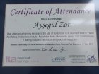 Dt. Ayşegül Zor Diş Hekimi sertifikası