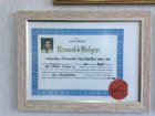 Prof. Dr. Yüksel Totan Göz Hastalıkları sertifikası