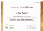 Uzm. Kl. Psk. Işılay Aygün Psikoloji sertifikası