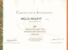Uzm. Dr. Melis Mosavi Dermatoloji sertifikası