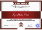 Uzm. Kl. Psk. Ege Ebrar Önür Psikoloji sertifikası