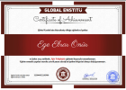 Uzm. Kl. Psk. Ege Ebrar Önür Psikoloji sertifikası