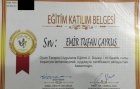 Dr. Emir Tufan Çaykuş Psikoterapi sertifikası