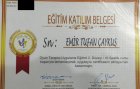Dr. Emir Tufan Çaykuş Psikoloji sertifikası