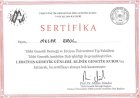 Op. Dr. Melek Büyükkınacı Erol Kadın Hastalıkları ve Doğum sertifikası