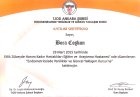 Doç. Dr. Bora Coskun Kadın Hastalıkları ve Doğum sertifikası